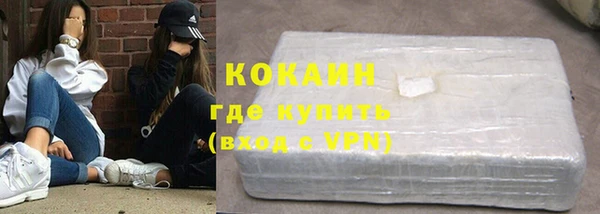 прущие грибы Горняк