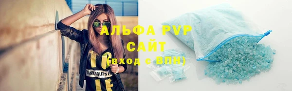 прущие грибы Горняк