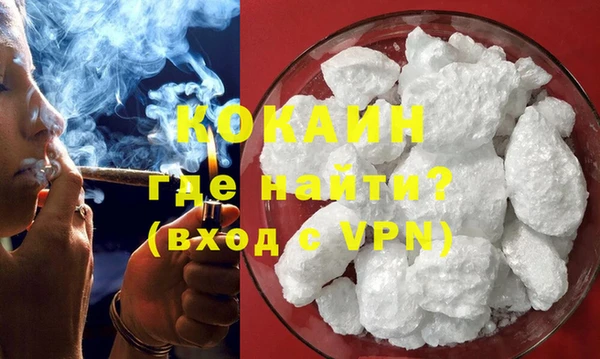 прущие грибы Горняк