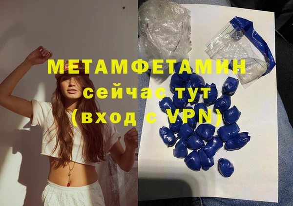 прущие грибы Горняк