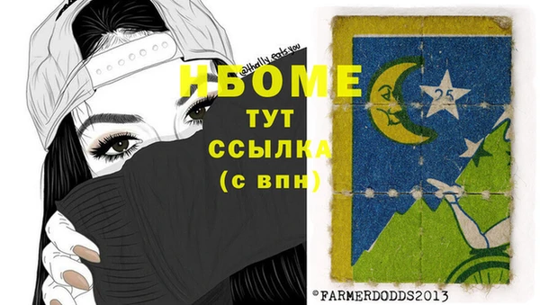 прущие грибы Горняк