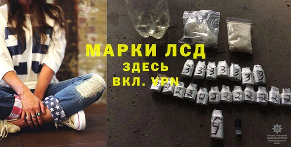 прущие грибы Горняк