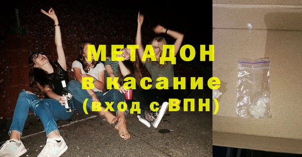 прущие грибы Горняк