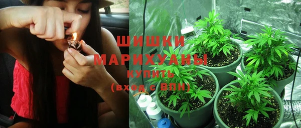 прущие грибы Горняк
