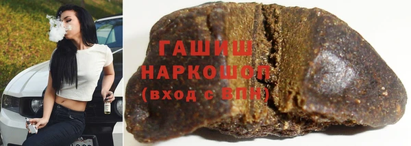 прущие грибы Горняк