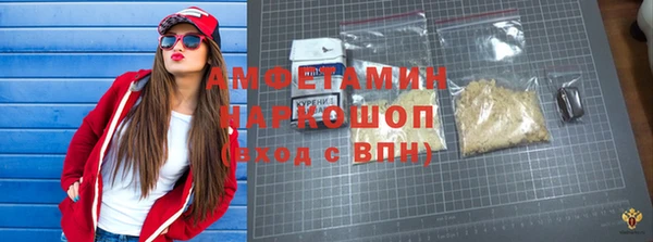 прущие грибы Горняк